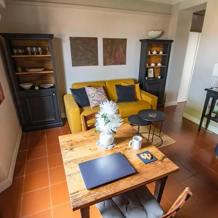 Apartment In The Window