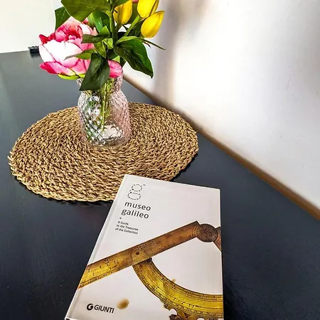 In The Window * Florencie